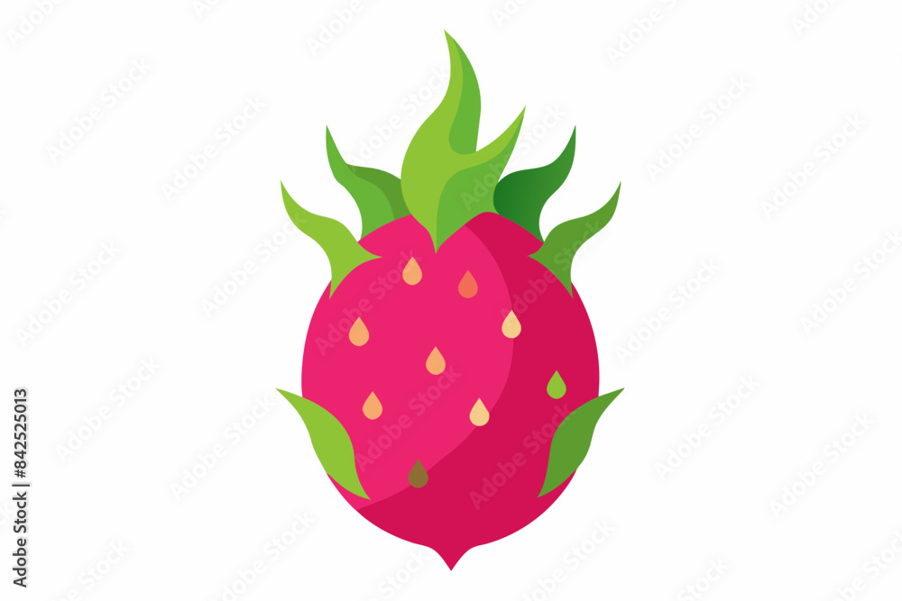 dragon fruit vector illustration dragon fruit vector illustration