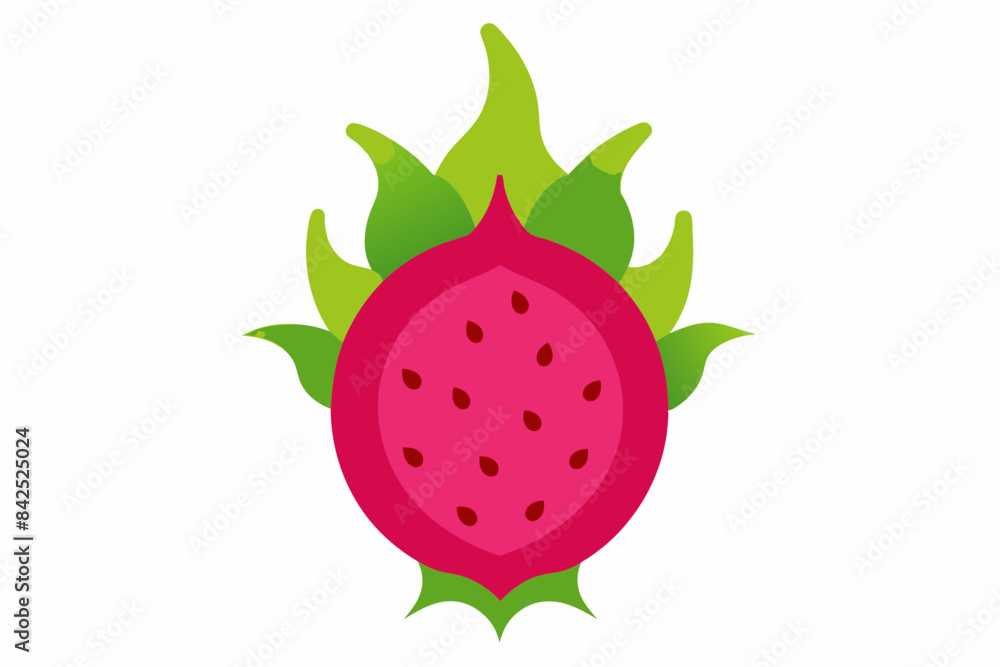 dragon fruit vector illustration dragon fruit vector illustration