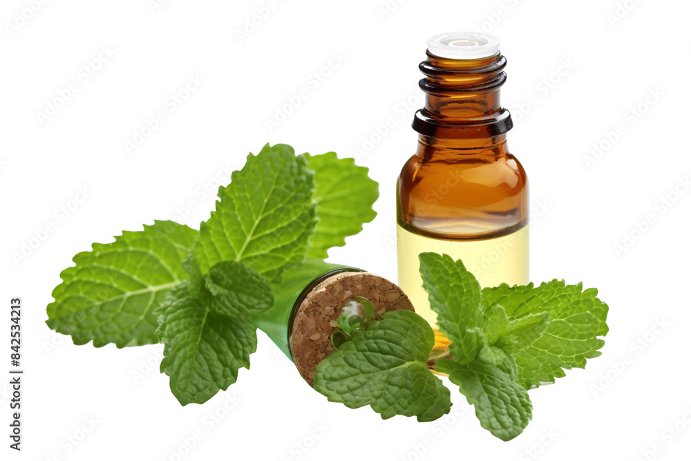 a bottle of essential oil next to leaves a bottle of essential oil next to leaves
