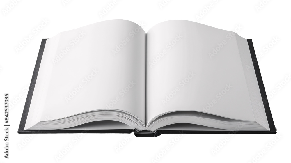 a book with blank pages a book with blank pages