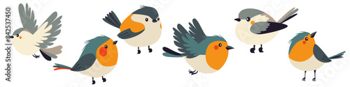 A set of flat vector illustrations in children's style. Cute birds sitting and flying . Vector illustration