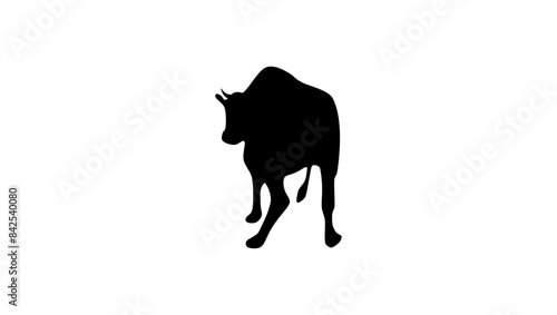 cow on ice, black isolated silhouette photo