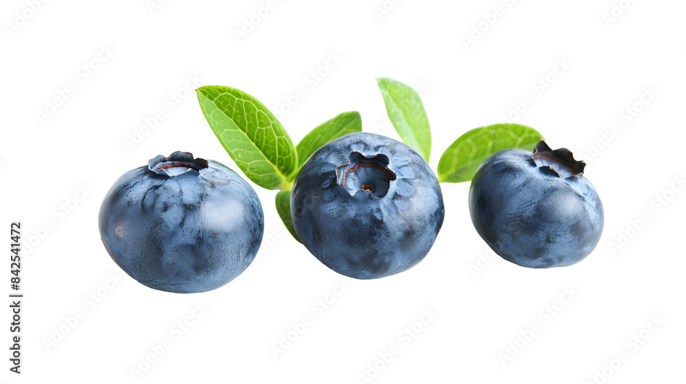 a group of blueberries with leaves a group of blueberries with leaves
