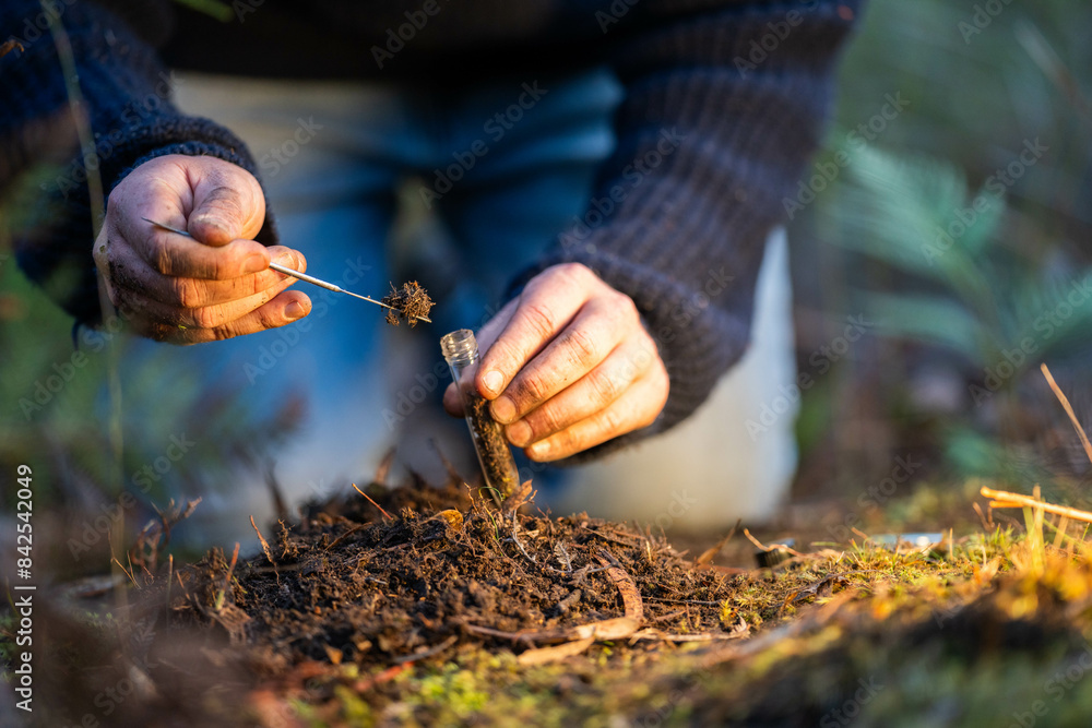 regenerative organic farmer, taking soil samples and looking at plant growth in a farm. practicing sustainable agriculture in spring regenerative organic farmer, taking soil samples and looking at plant growth in a farm. practicing sustainable agriculture in spring
