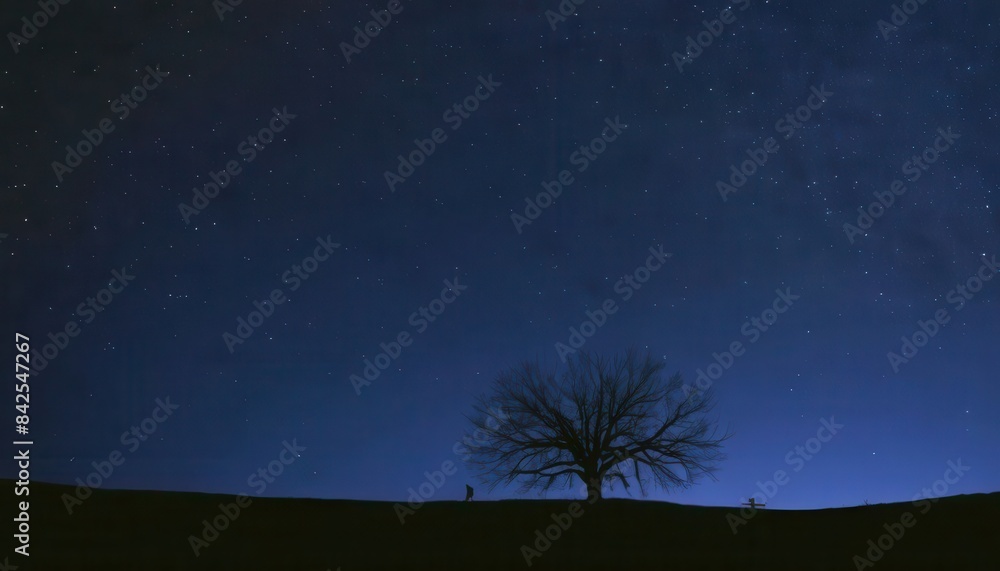 a lone tree is silhouetted against the night sky a lone tree is silhouetted against the night sky