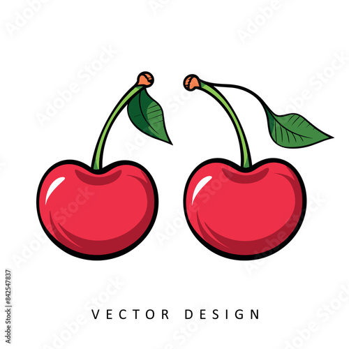 fresh cherry fruit vector design isolated illustration