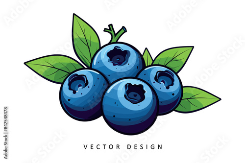 fresh blueberry fruit vector design isolated illustration