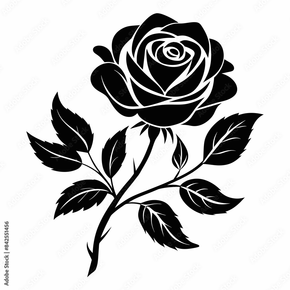 black and white roses black and white roses