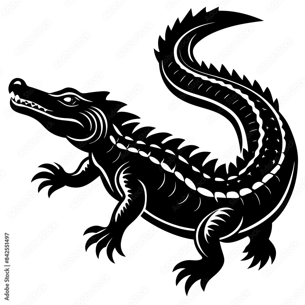 dragon dragon