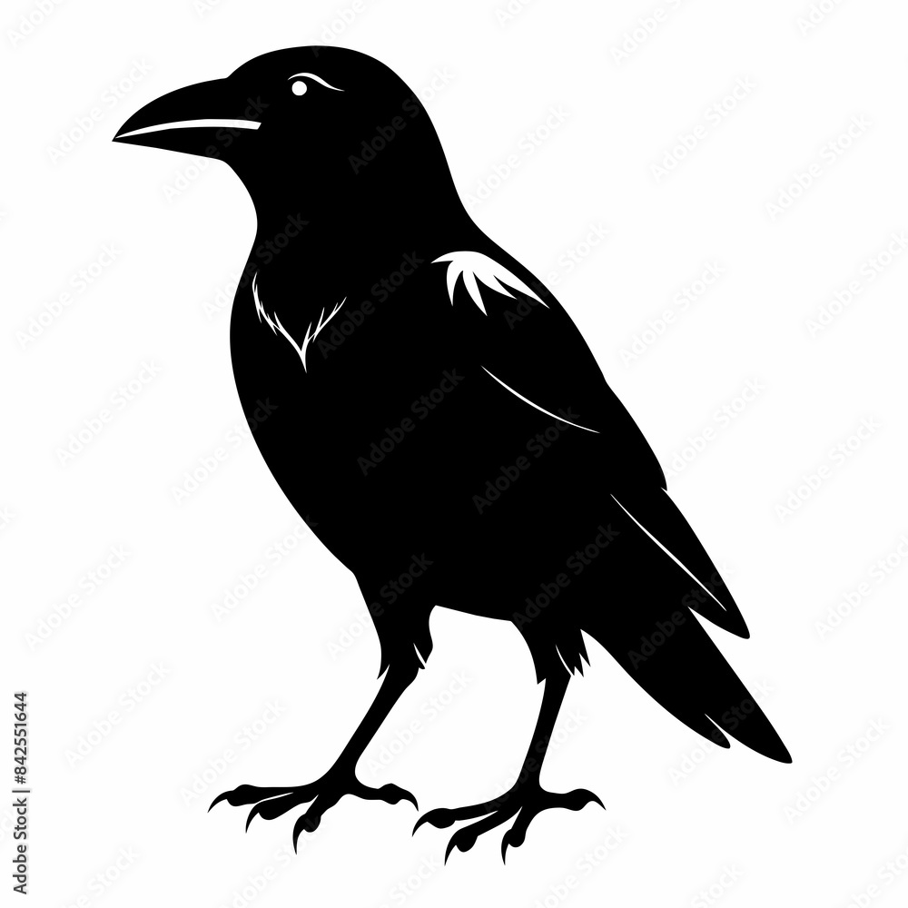 Obraz premium crow on a white