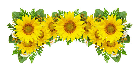 Sunflowers and wild flowers in a summer floral frame isolated on white or transparent background
