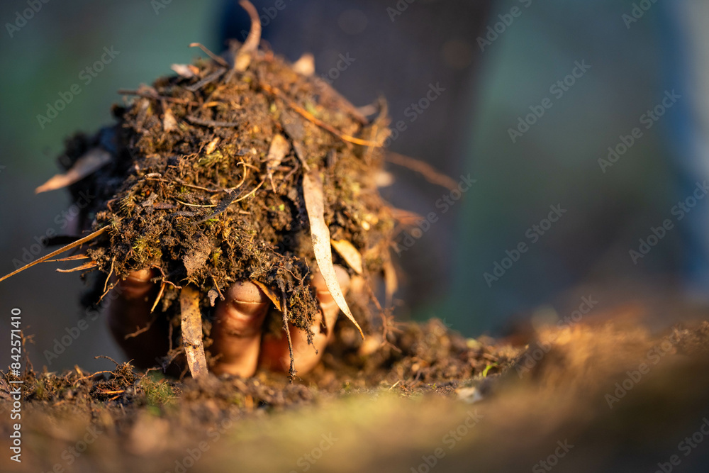 farmer collecting soil samples in a test tube in a field. Agronomist checking soil carbon and plant health on a farm in a field farmer collecting soil samples in a test tube in a field. Agronomist checking soil carbon and plant health on a farm in a field