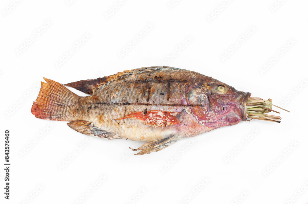 Grilled tilapia with herbs isolated on white background. Grilled tilapia with herbs isolated on white background.