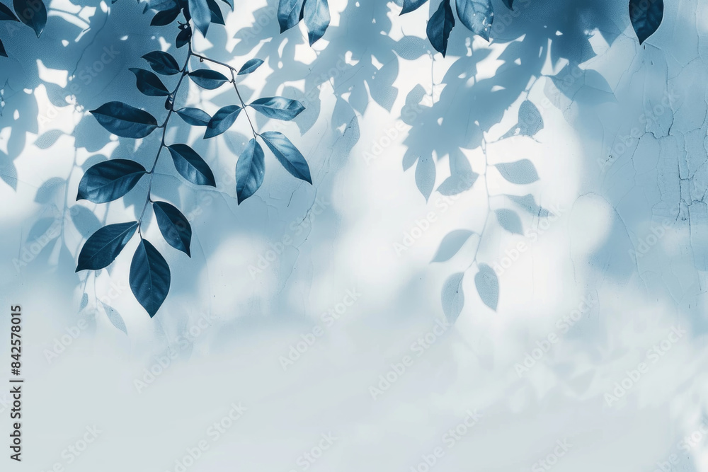 A close-up image of blue leaves casting shadows on a white wall, creating a beautiful and ethereal pattern A close-up image of blue leaves casting shadows on a white wall, creating a beautiful and ethereal pattern