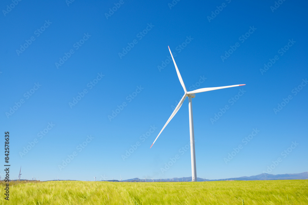 Wind turbine generators for green electricity production Wind turbine generators for green electricity production