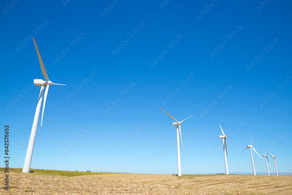 Wind turbine generators for green electricity production Wind turbine generators for green electricity production