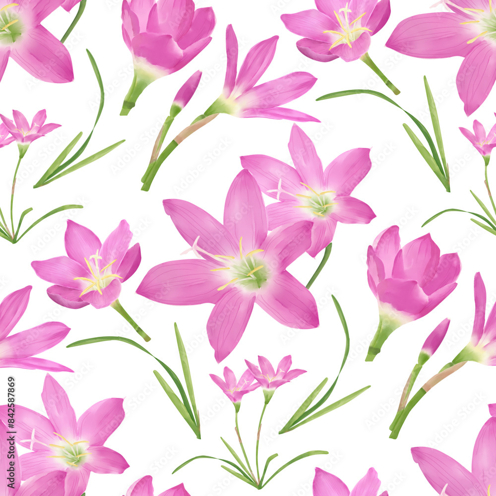 seamless pattern of rain lily flower or Zephyranthes rosea with pink petals, pistil and stamens. Isolated on white background. Illustration of rain lily suitable for fabric, paper or printed motive. seamless pattern of rain lily flower or Zephyranthes rosea with pink petals, pistil and stamens. Isolated on white background. Illustration of rain lily suitable for fabric, paper or printed motive.