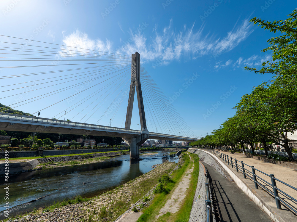 Obraz premium 猪名川を渡る阪神高速池田線の新猪名川大橋 