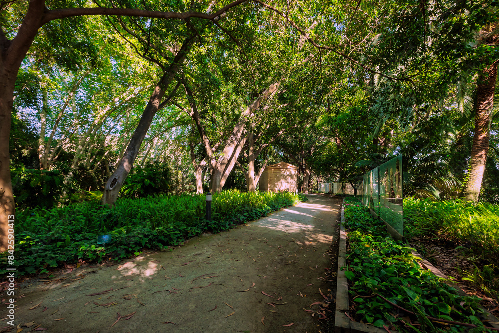 Pathway surrounded by lush green trees and plants in botanical garden Pathway surrounded by lush green trees and plants in botanical garden