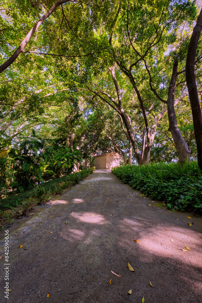 Gravel path leading to a small building in a leafy park Gravel path leading to a small building in a leafy park