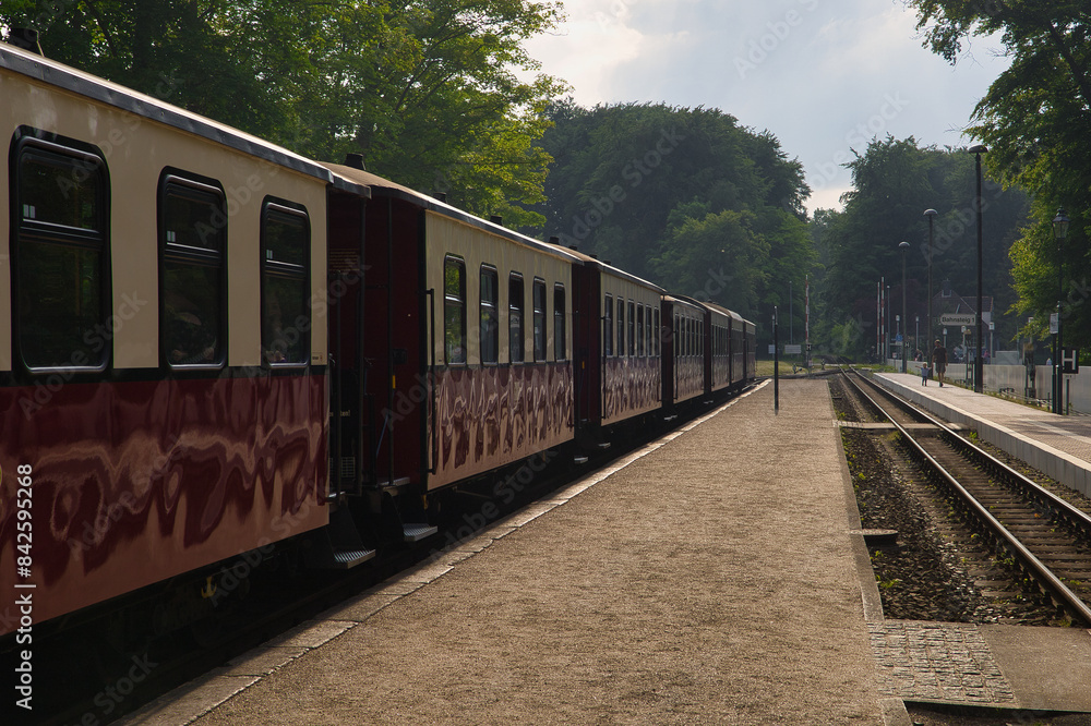 Obraz premium Historische Personenwagen der Mecklenburgischen Bäderbahn Molli am waldreichen Bahnsteig im Ostseebad Heiligendamm, Landkreis Rostock, Mecklenburg-Vorpommern, Deutschland