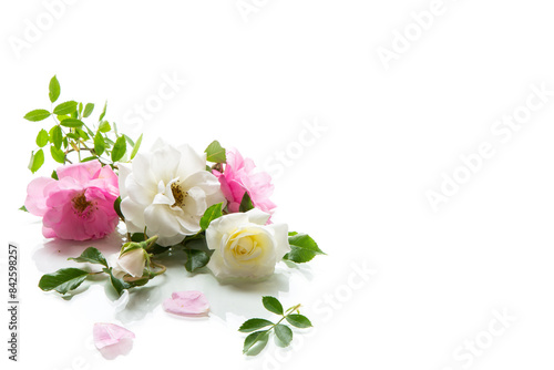 wooden light background with white and pink roses