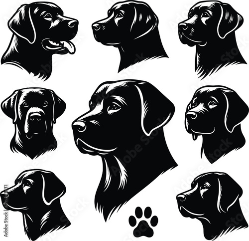 Labrador Retriever Face Silhouette black head vector Isolated on transparent background