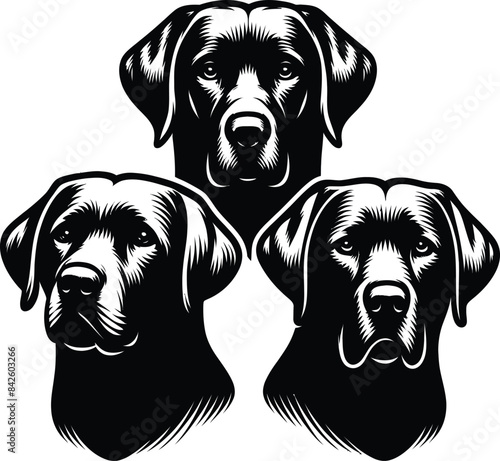 Labrador Retriever Face Silhouette black head vector Isolated on transparent background