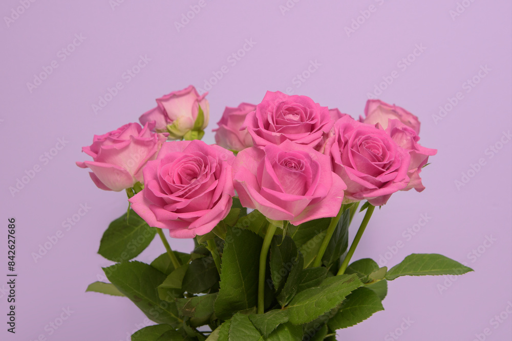 A bouquet of pink roses in a vase. pink background A bouquet of pink roses in a vase. pink background