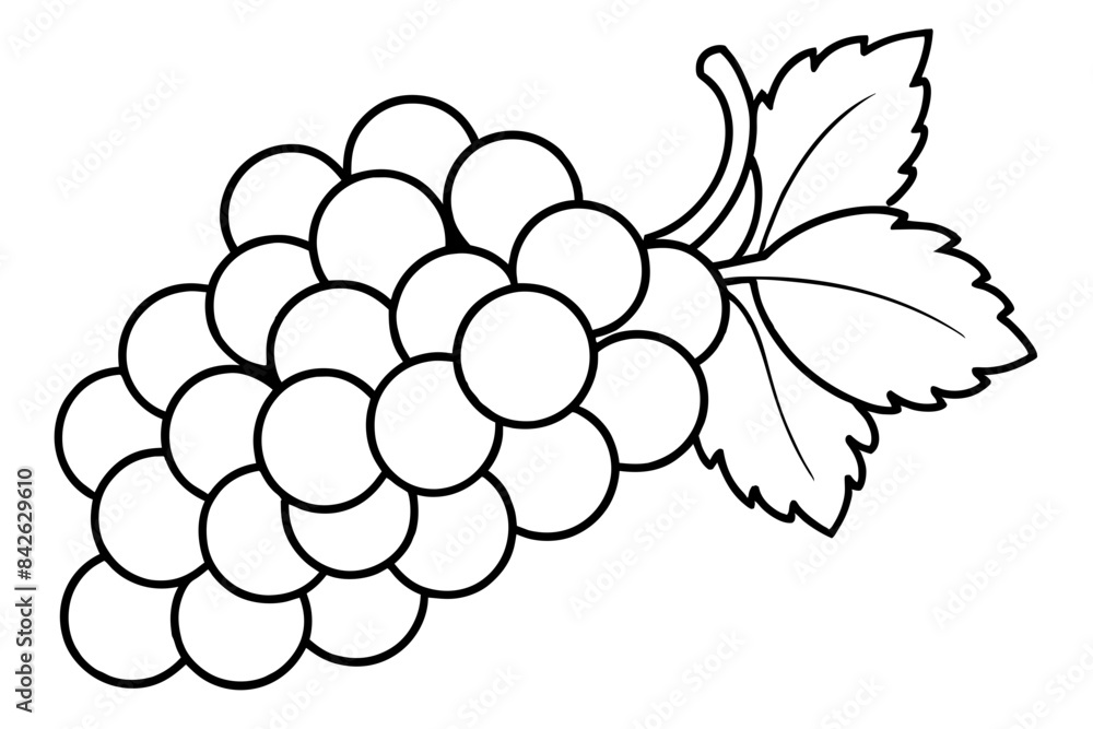 A bunch of grapes with leaves line art vector illustration A bunch of grapes with leaves line art vector illustration