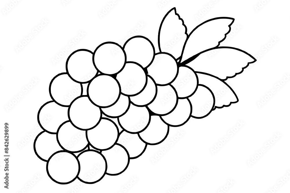 A bunch of grapes with leaves line art vector illustration A bunch of grapes with leaves line art vector illustration