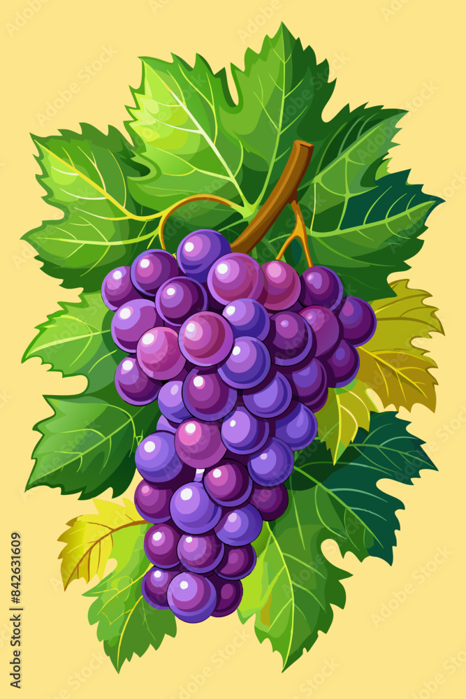 Fototapeta premium A bunch of grapes with leaves vector illustration 