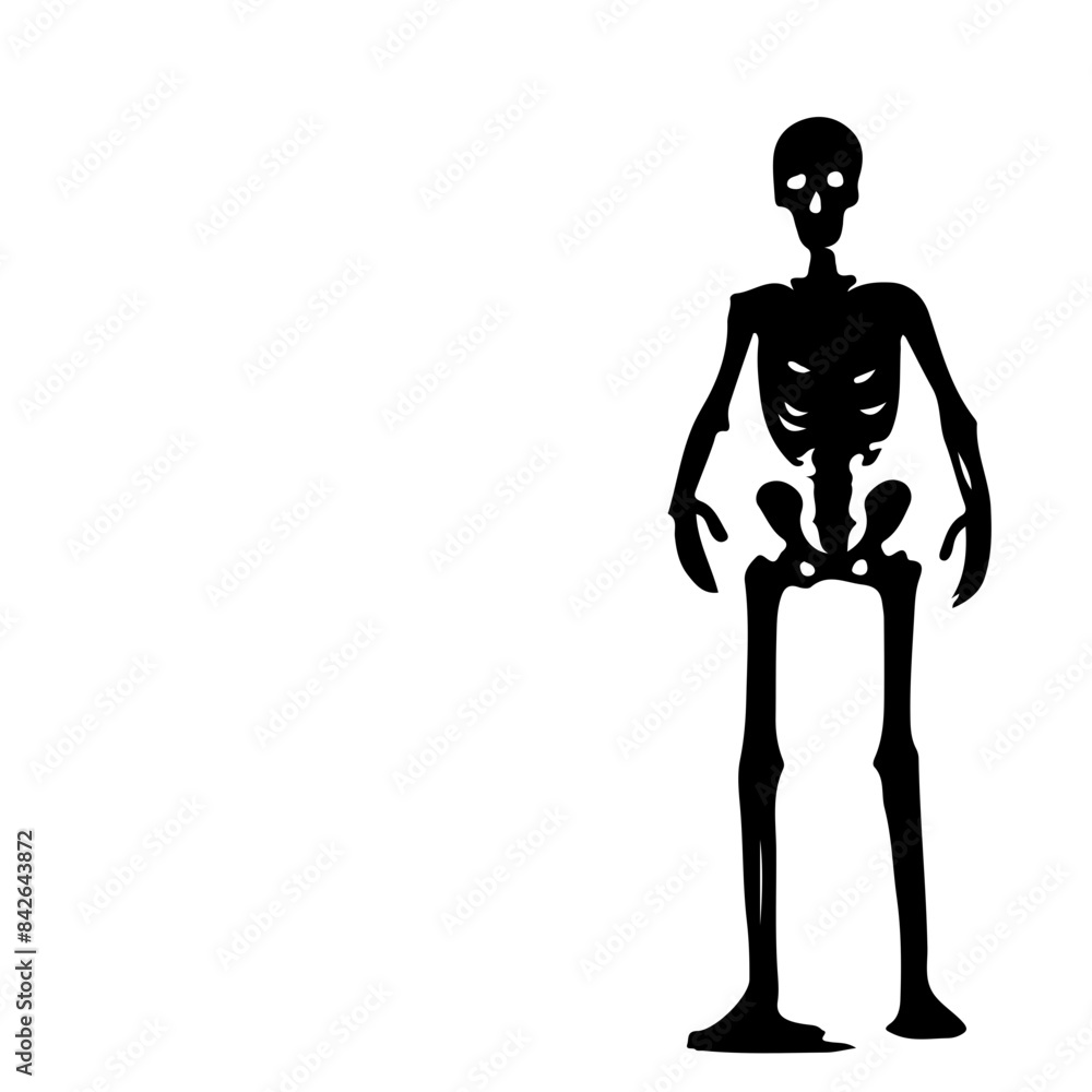 Halloween Skeleton bones Halloween Skeleton bones