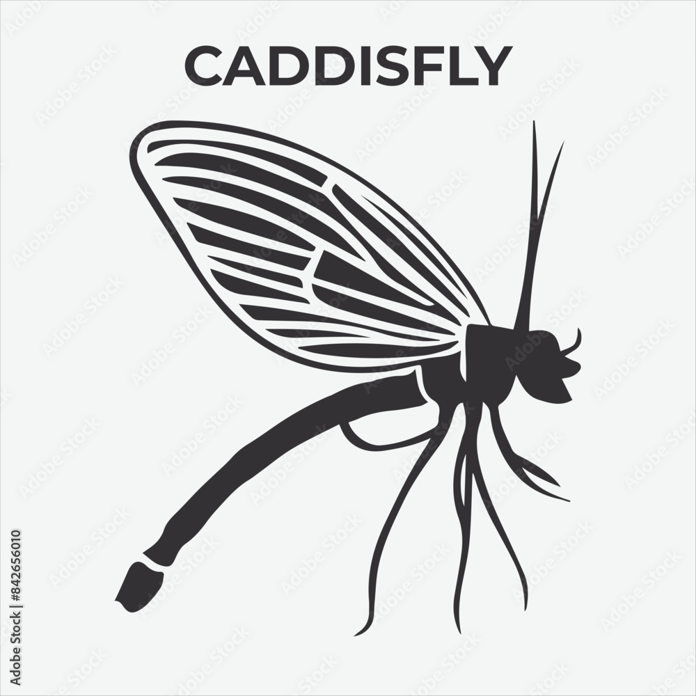 A Distinctive Caddisfly Silhouette for Multi-Format Design Projects. Vector Illustration A Distinctive Caddisfly Silhouette for Multi-Format Design Projects. Vector Illustration