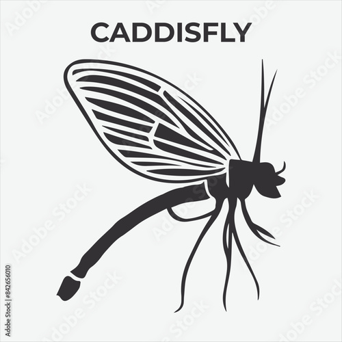 A Distinctive Caddisfly Silhouette for Multi-Format Design Projects. Vector Illustration