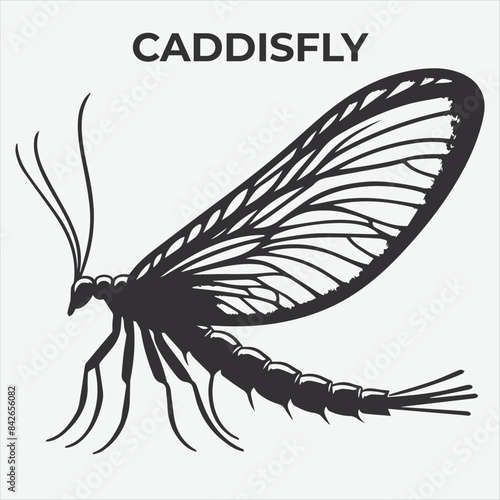 A Distinctive Caddisfly Silhouette for Multi-Format Design Projects. Vector Illustration