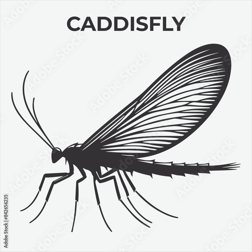 A Clear and Bold Caddisfly Silhouette for Versatile Applications. Vector Illustration