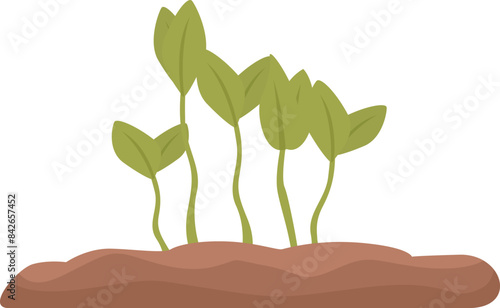 Five young plants growing from the ground, representing new life, growth, and the beauty of nature