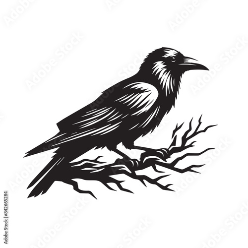 crow  silhouette png ,crow  flying  silhouette ,crow bird silhouette,crow tatto silhouette 