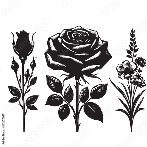 Collection set of  lavender violet stalk of rose roses flower silhouette ,"Lavender Dreams: A Collection of Violet Rose Stems"
"Violet Rose Symphony: A Set of Lavender Rose Bouquets"
"Whispers of Lave