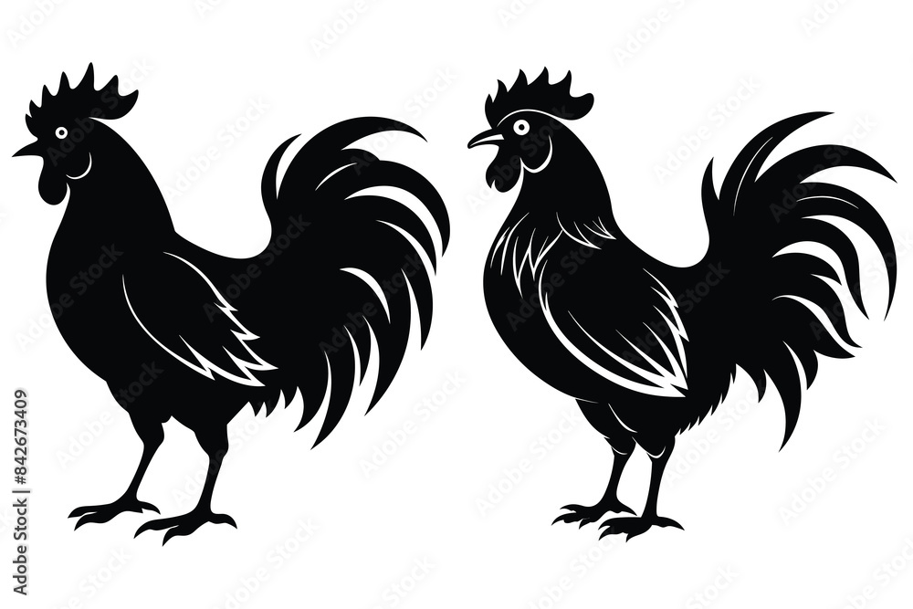 rooster isolated on white background rooster isolated on white background