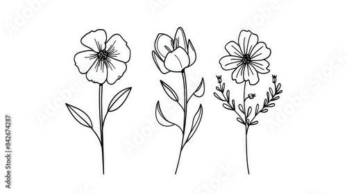 A simple line drawing of three different types of flowers in a clip art style generated with AI