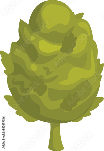 Green hop plant growing on a thin stem with leaves