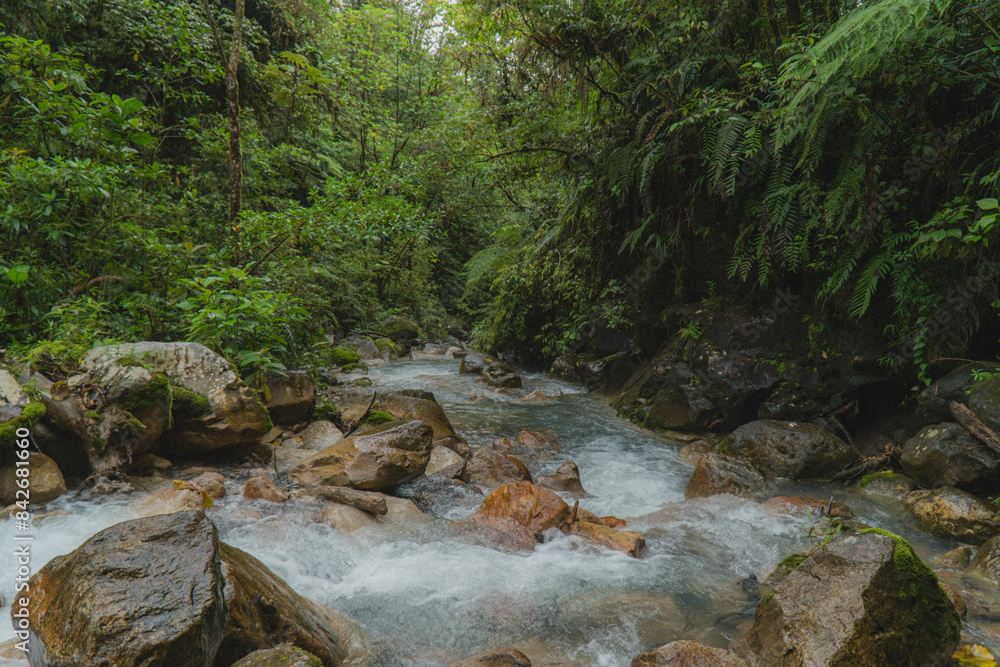 Fluss im Regenwald in Costa Rica Fluss im Regenwald in Costa Rica