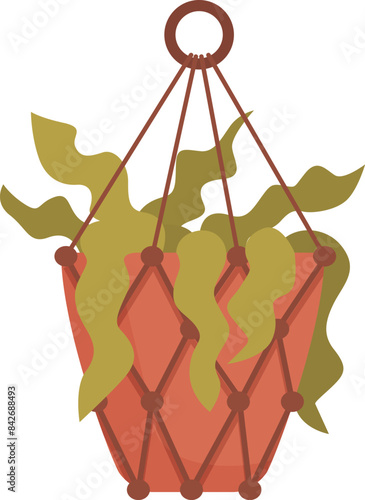 Green plant growing in macrame plant hanger hanging on a white background