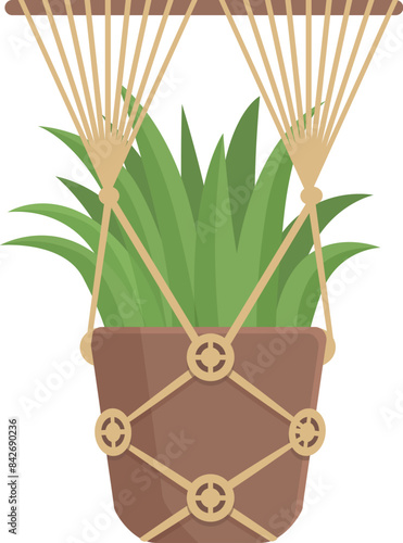 Green plant hanging from ceiling using macrame plant hanger