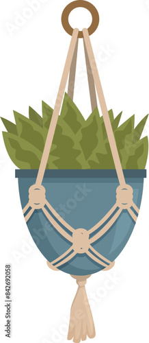 Green home plant is hanging in a blue pot in a macrame plant hanger with tassels