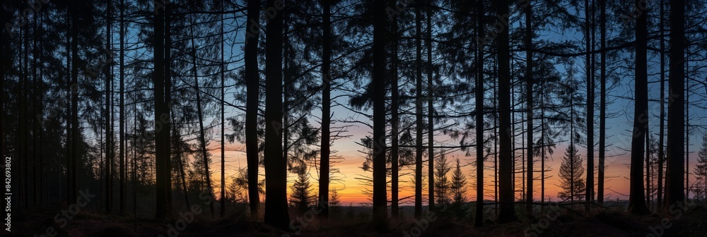 A peaceful dawn scene where the first light of day casts a subtle glow against the silhouetted treeline of a dense forest, creating a calming and contemplative atmosphere. A peaceful dawn scene where the first light of day casts a subtle glow against the silhouetted treeline of a dense forest, creating a calming and contemplative atmosphere.