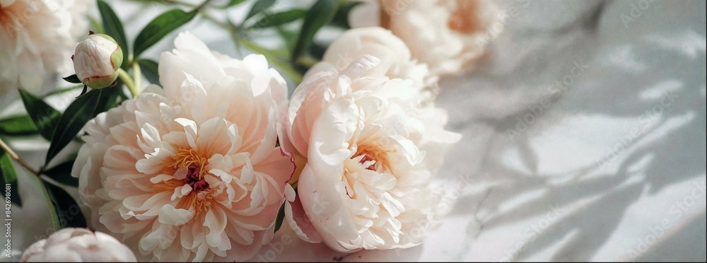 Peony flowers on the table. Soft and airy horizontal photo with a place for text. Peony flowers on the table. Soft and airy horizontal photo with a place for text.
