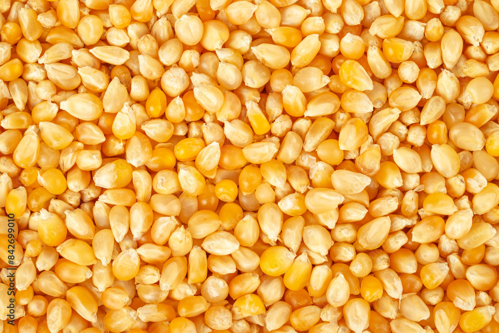 Raw popcorn grains background. Top view, close up. Raw popcorn grains background. Top view, close up.